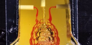 First Of Its Kind: 3D Bio-printed Organ Breathes Fresh Air