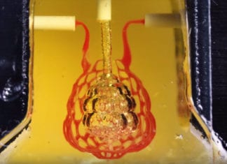 First Of Its Kind: 3D Bio-printed Organ Breathes Fresh Air