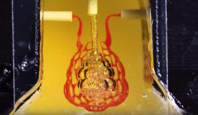 First Of Its Kind: 3D Bio-printed Organ Breathes Fresh Air