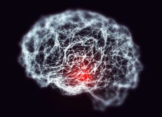 Alzheimer’s Disease Analysis Via Gene Expression Mapping in Single Cell