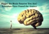 Bigger the Brain Smarter You Are? Scientists Have Found the Answer Bigger the Brain Smarter You Are? Scientists Have Found the Answer