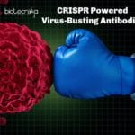 CRISPR Powered Virus-Busting Antibodies