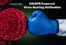 CRISPR Powered Virus-Busting Antibodies