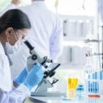 CSIR-IMTECH Chandigarh Internship