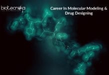 Career In Molecular Modelling & Drug Designing – Eligibility & Salary Career In Molecular Modeling & Drug Designing - Eligibility & Salary