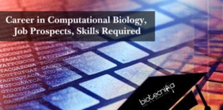 Career in Computational Biology, Job Prospects, Skills Required