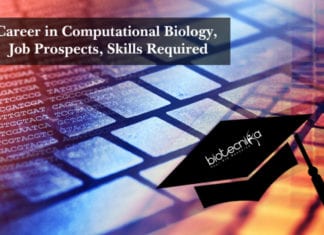 Career in Computational Biology, Job Prospects, Skills Required