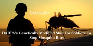 DARPA's Genetically Modified Skin For Soldiers To Stop Mosquito Bites
