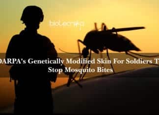 DARPA's Genetically Modified Skin For Soldiers To Stop Mosquito Bites