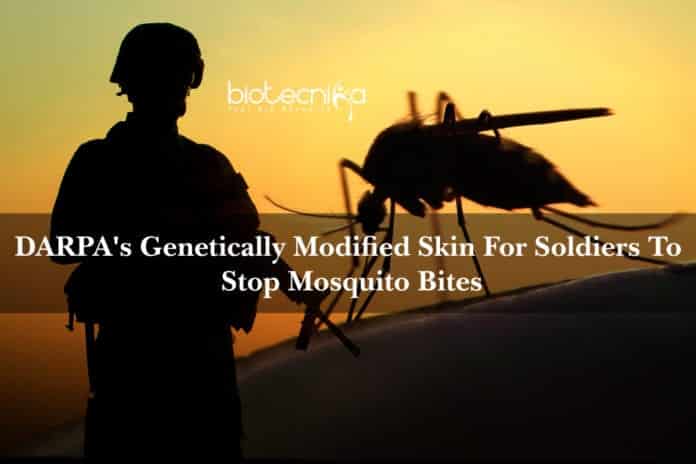 DARPA's Genetically Modified Skin For Soldiers To Stop Mosquito Bites