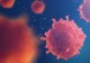 DBT & DAE Govt of India Collaborate For Cancer Research Advancement