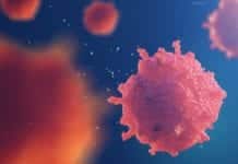 DBT & DAE Govt of India Collaborate For Cancer Research Advancement DBT & DAE Govt of India Collaborate For Cancer Research Advancement