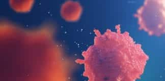 DBT & DAE Govt of India Collaborate For Cancer Research Advancement