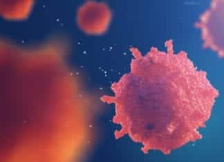 DBT & DAE Govt of India Collaborate For Cancer Research Advancement