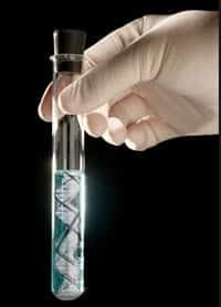 Top 10 Lab Techniques Every Researcher Must Know