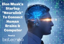Elon Musk’s Startup “Neuralink” To Connect Human Brains & Computer Elon Musk's Startup "Neuralink" To Connect Human Brains & Computer