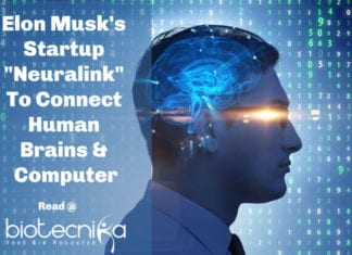 Elon Musk's Startup "Neuralink" To Connect Human Brains & Computer