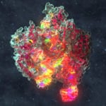 First CRISPR-Cas9 Blocking Small Molecule Identified