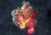 First CRISPR-Cas9 Blocking Small Molecule Identified First CRISPR-Cas9 Blocking Small Molecule Identified