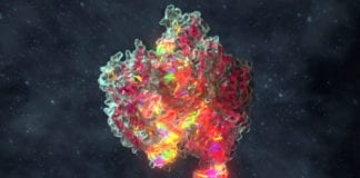 First CRISPR-Cas9 Blocking Small Molecule Identified