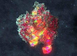 First CRISPR-Cas9 Blocking Small Molecule Identified