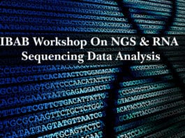 IBAB Workshop On NGS & RNA Sequencing Data Analysis