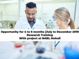 NABI Research Training 2019
