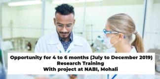 NABI Research Training 2019