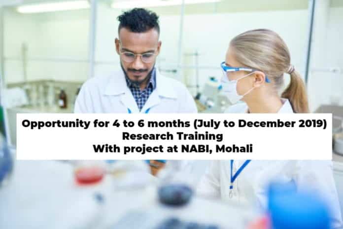 NABI Research Training 2019