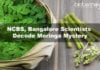 NCBS, Bangalore Scientists Decode Moringa Mystery NCBS, Bangalore Scientists Decode Moringa Mystery
