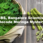NCBS, Bangalore Scientists Decode Moringa Mystery
