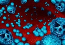 New Antibiotic-Resistant Jumping Superbug Gene Discovered New Antibiotic-Resistant Jumping Superbug Gene Discovered