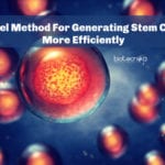 Novel Method For Generating Stem Cells More Efficiently