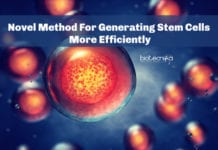 Novel Method For Generating Stem Cells More Efficiently Novel Method For Generating Stem Cells More Efficiently