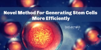 Novel Method For Generating Stem Cells More Efficiently