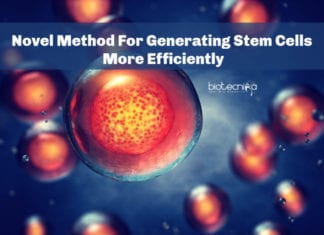 Novel Method For Generating Stem Cells More Efficiently