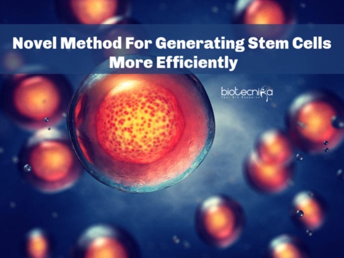 Novel Method For Generating Stem Cells More Efficiently