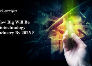 Reality Check_ How Big Will Be Biotechnology Industry By 2025