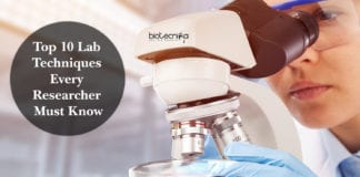 Top 10 Lab Techniques Every Researcher Must Know