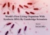 World’s First Living Organism With Synthetic DNA By Cambridge Scientists World's First Living Organism With Synthetic DNA By Cambridge Scientists
