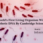 World's First Living Organism With Synthetic DNA By Cambridge Scientists