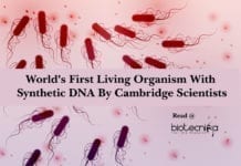 World's First Living Organism With Synthetic DNA By Cambridge Scientists