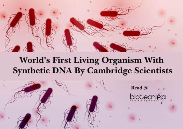 World's First Living Organism With Synthetic DNA By Cambridge Scientists