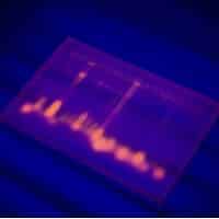 Top 10 Lab Techniques Every Researcher Must Know