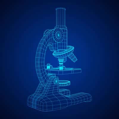 Top 10 Lab Techniques Every Researcher Must Know