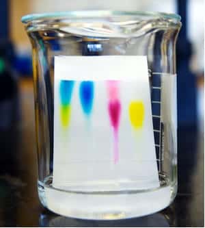 Top 10 Lab Techniques Every Researcher Must Know