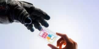 Tissue Chips Sent In Space To Analyze Aging-Related Conditions On Earth