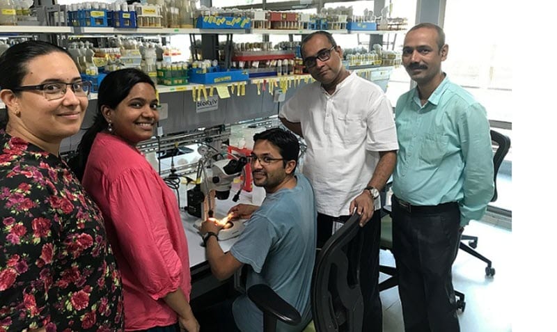 NCBS Bangalore Scientist's Novel Discovery To Treat Type 2 Diabetes