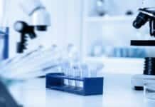 Biological Sciences IICB Jobs – PhD Research Associate Post Biological Sciences IICB Jobs