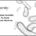 Human-Made Invisible DNA To Study Pathogenic Bacteria Human-Made Invisible DNA To Study Pathogenic Bacteria